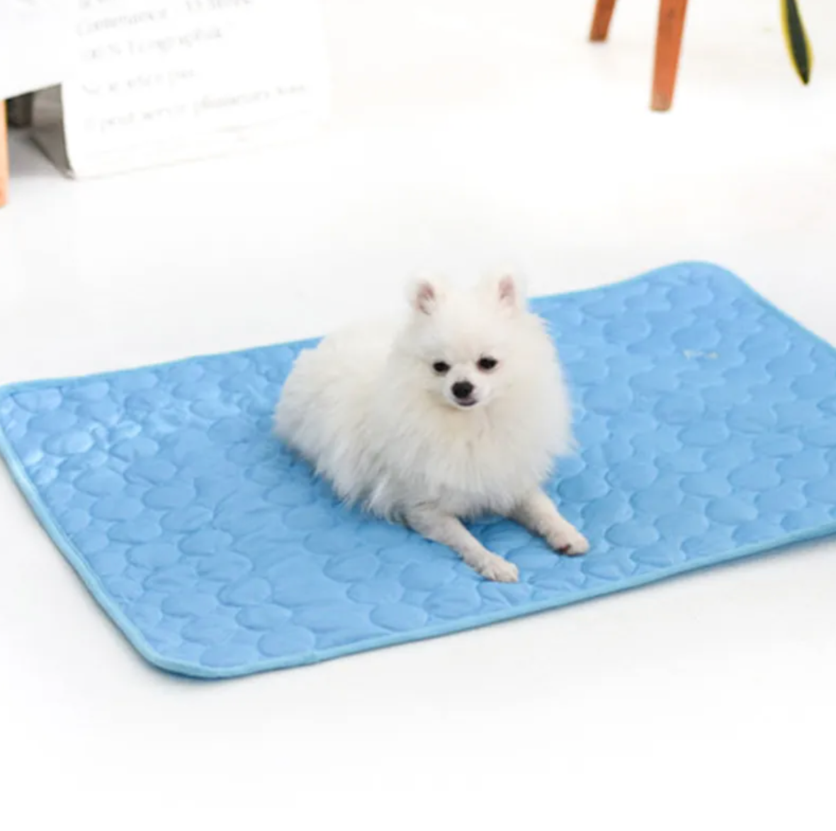 Cooling Pet Mat — Ice Silk Summer Bed | Non-Toxic, Washable, Foldable